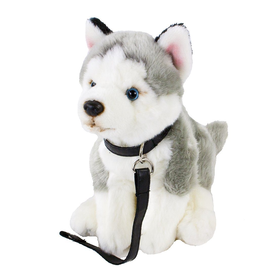 Teddys Rothenburg Kuscheltier Hund Husky mit Leine 25 cm Plüschhusky