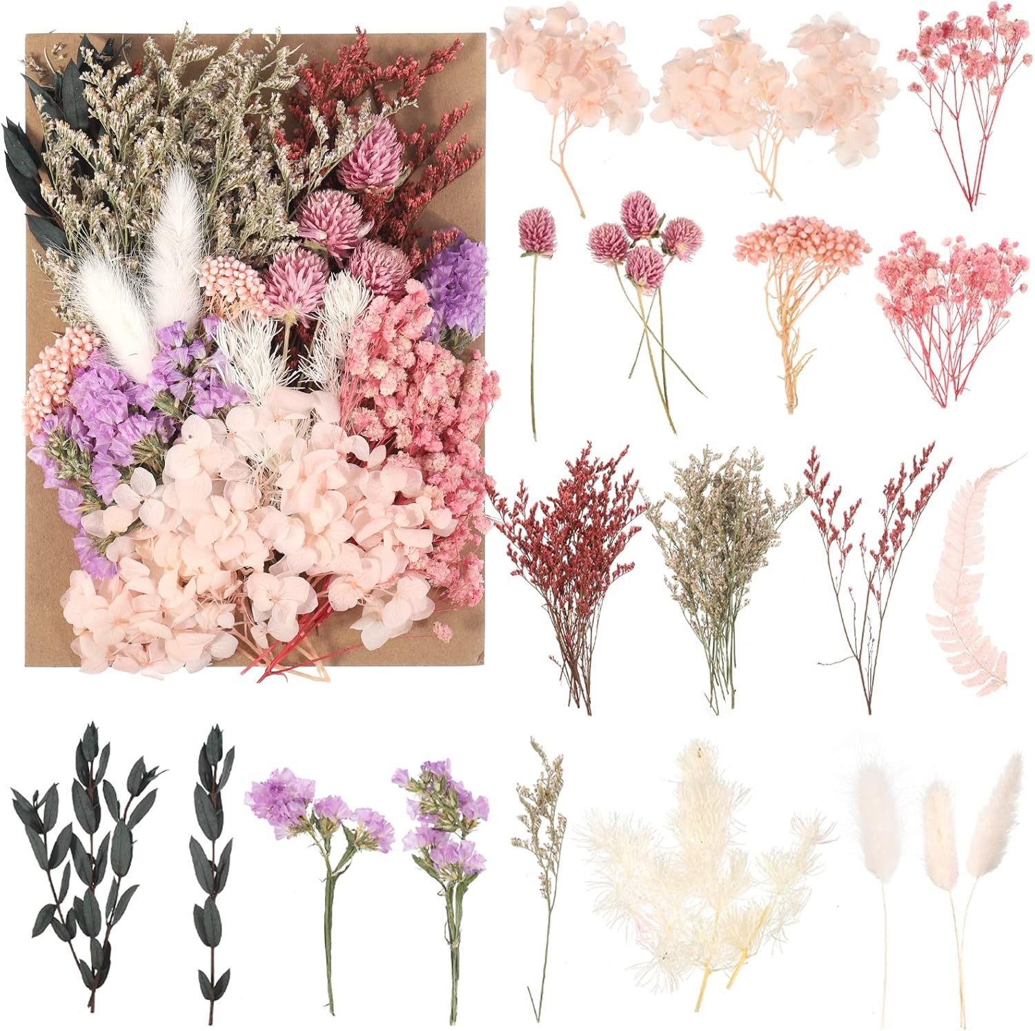 Trockenblume 100% Natürliche getrocknte Blumen, DIY gemischte getrocknte Bl günstig online kaufen