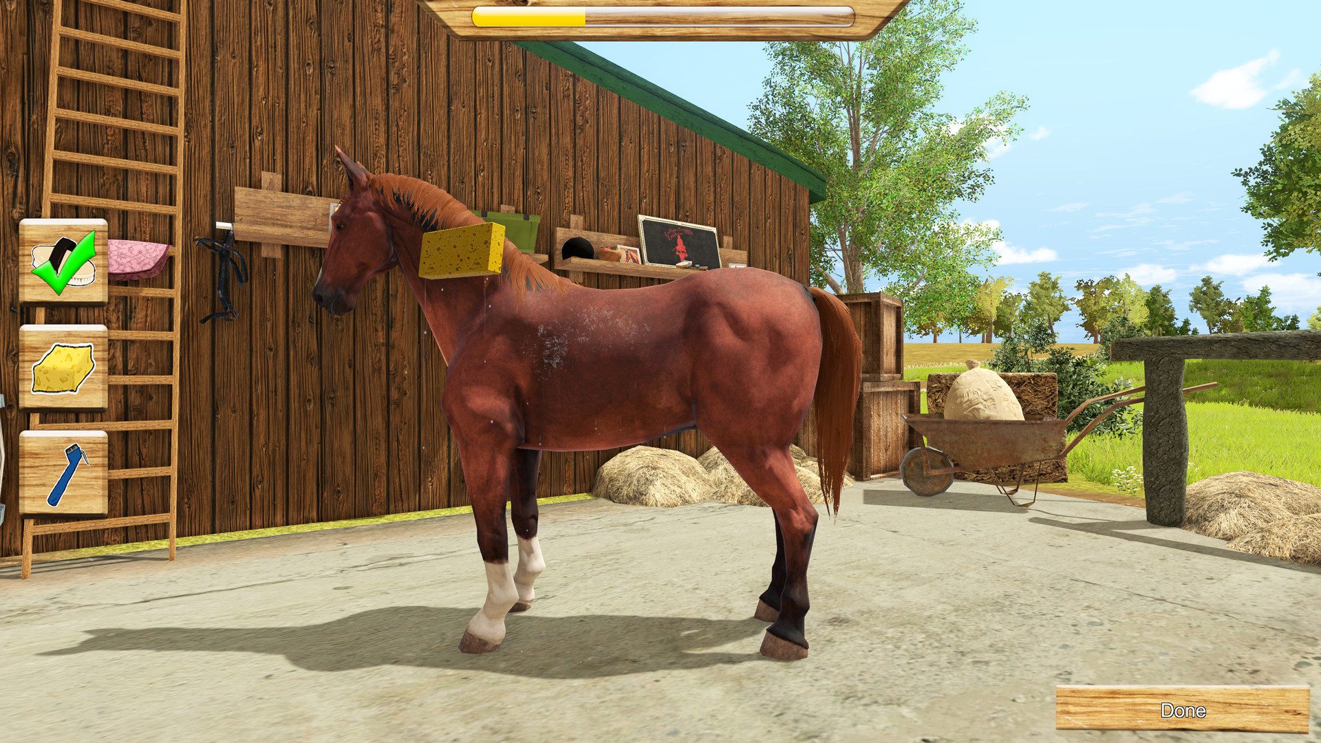 My Little Riding Champion Switch