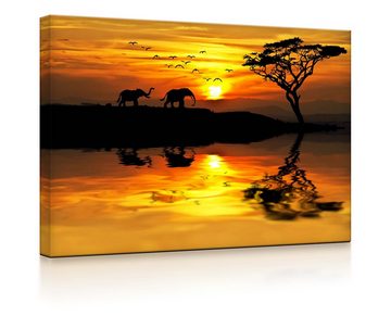 lightbox-multicolor LED-Bild Elefanten in afrikanischer Steppe front lighted / 60x40cm, Leuchtbild mit Fernbedienung