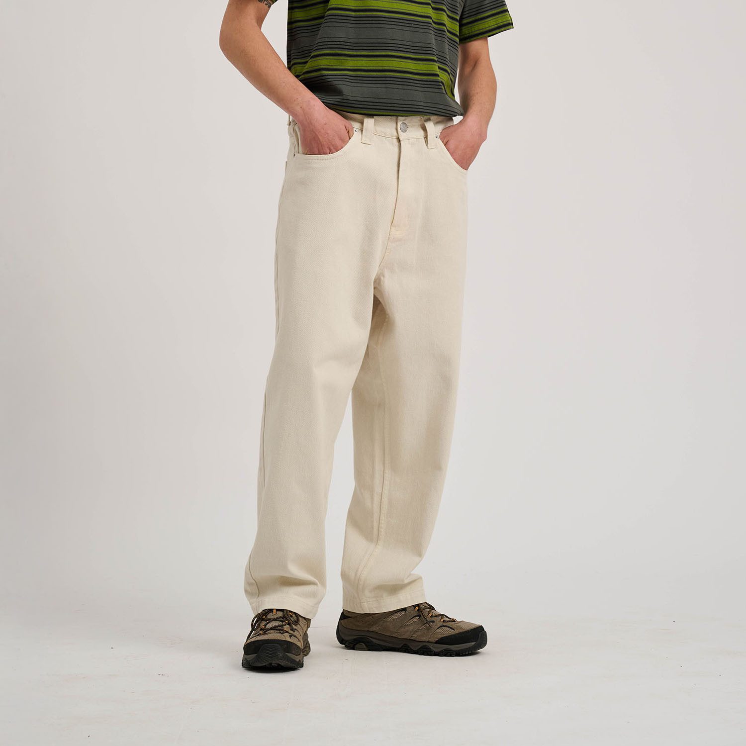Santa Cruz Webhose BIG PANTS günstig online kaufen