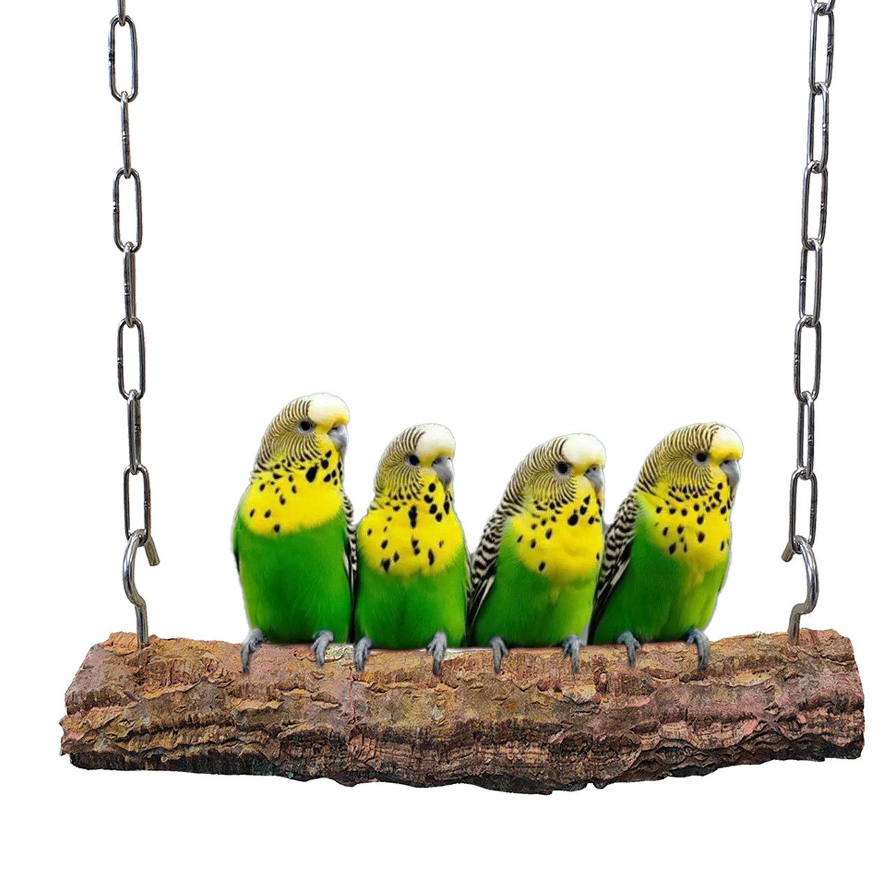 Vogelspielplatz Korkastschaukel für Sittiche & kleine Papageien