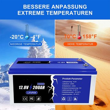 PFCTART 12.8V Lithium-Eisenphosphat-Akku, 200AH Bleiakkus