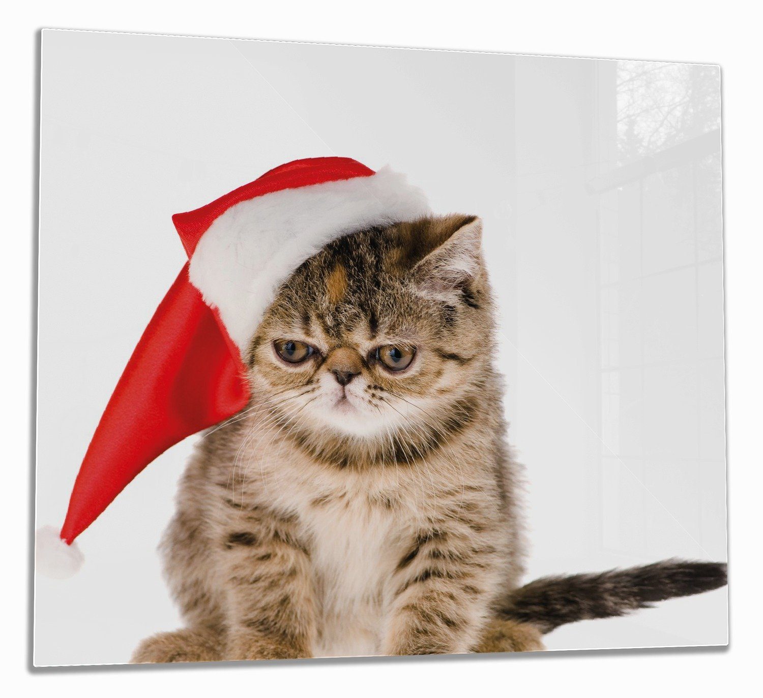 Wallario Herd-Abdeckplatte Ich hasse Weihnachten - mürrische Katze mit  Weihnachtsmütze, ESG-Sicherheitsglas, (Glasplatte, 1 tlg., inkl. 5mm  Noppen), verschiedene Größen