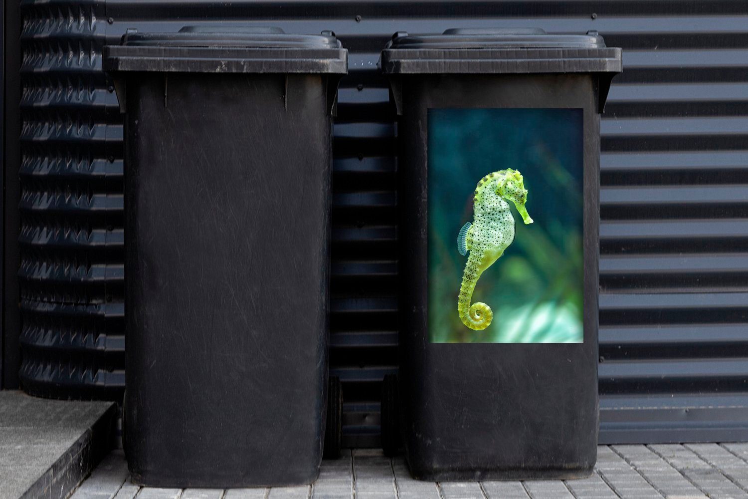 (1 MuchoWow Mülltonne, Ein Mülleimer-aufkleber, Seepferdchen St), Wandsticker buntes Container, Sticker, Abfalbehälter