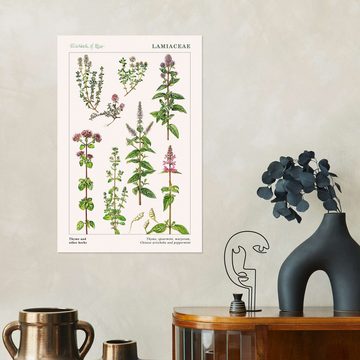 Posterlounge Wandfolie Elizabeth Rice, Thymian und andere Kräuter (englisch), Küche Vintage Grafikdesign