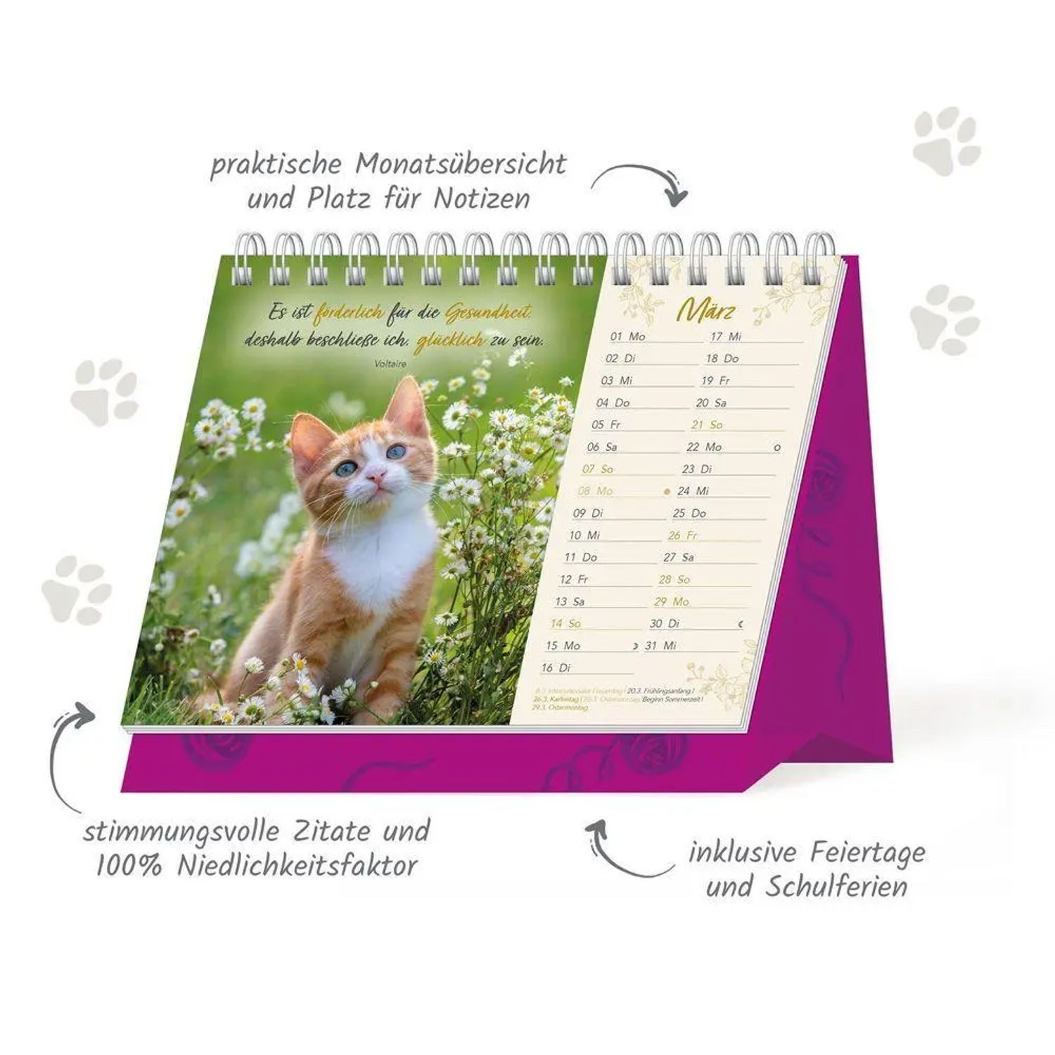 Trötsch Verlag Monatskalender TRÖTSCH - Aufstellkalender Samtpfötchen 2027