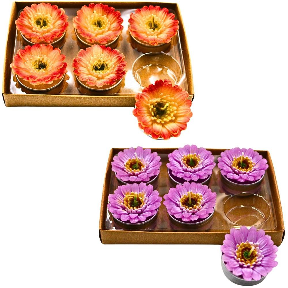 Dekohelden24 Teelicht 12er Set Teelicht in Form einer Gerbera,Tischkerze, Gerberakerze
