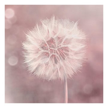 Bilderdepot24 Leinwandbild Kunstdruck Natur Pusteblume Bokeh rosa rosa Bild auf Leinwand XXL, Bild auf Leinwand; Leinwanddruck in vielen Größen