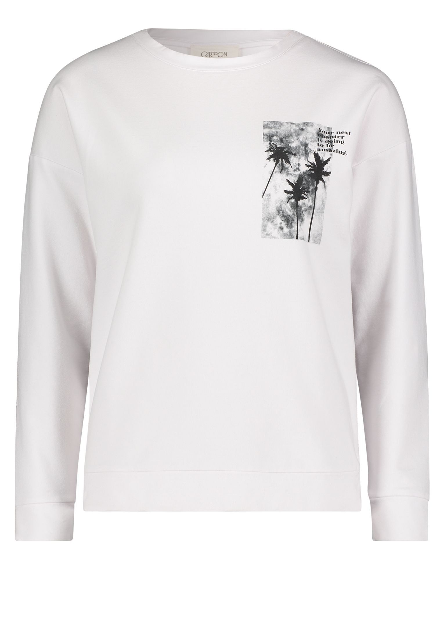 Cartoon Hoodie