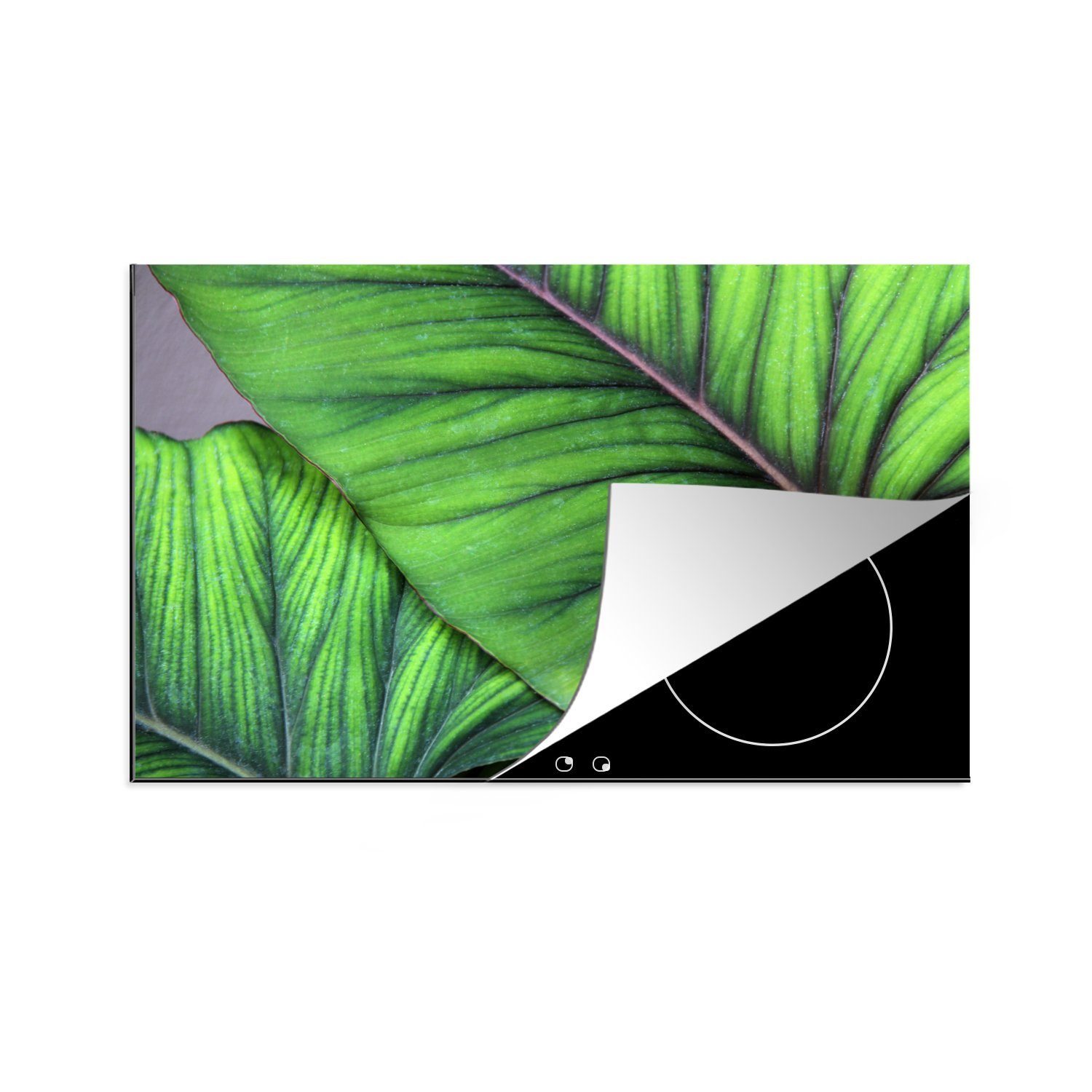 MuchoWow Herdblende-/Abdeckplatte Foto von großen tropischen botanischen Blättern, Vinyl, (1 tlg), 81x52 cm, Induktionskochfeld Schutz für die küche, Ceranfeldabdeckung