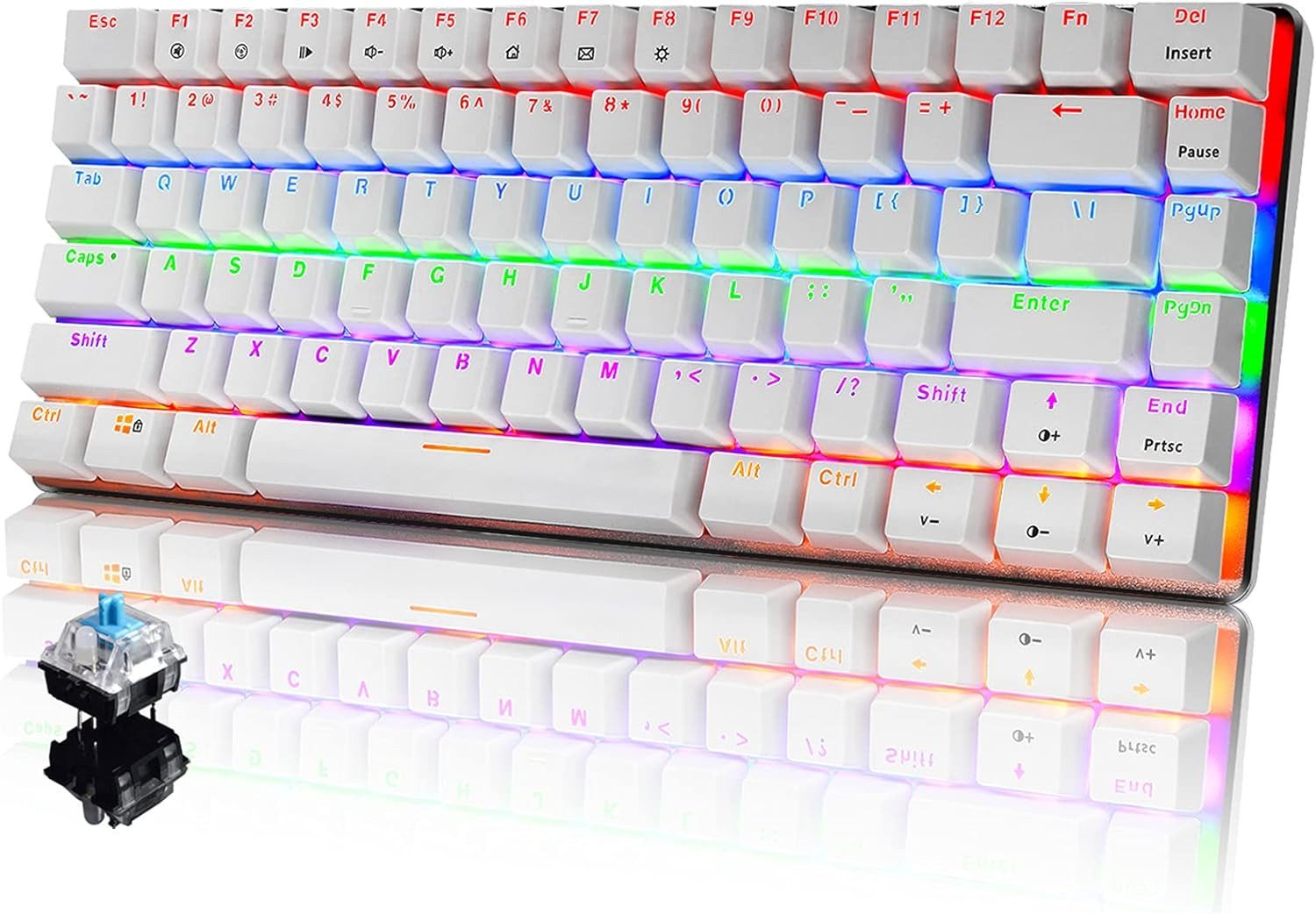 CROSS ZEBRA Regenbogen LED Hintergrundbeleuchtung Gaming-Tastatur (Anti-Ghosting-Technologie,Hochwertige Materialien maximale Präzision)