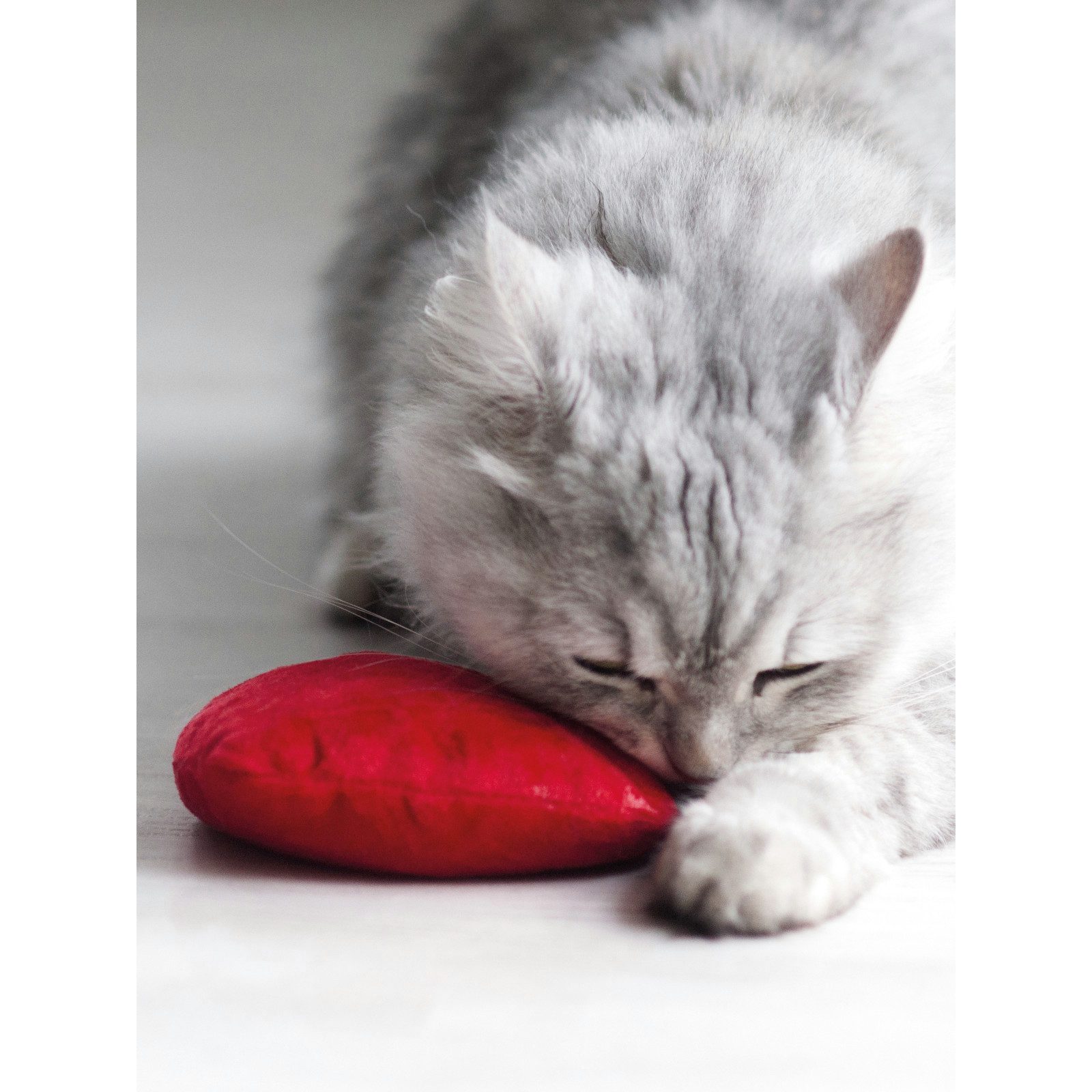 Aumüller Tierkuscheltier Katzenspielkissen Baldi-Herz aus rotem Schmuseplüsch, gefüllt mit D...