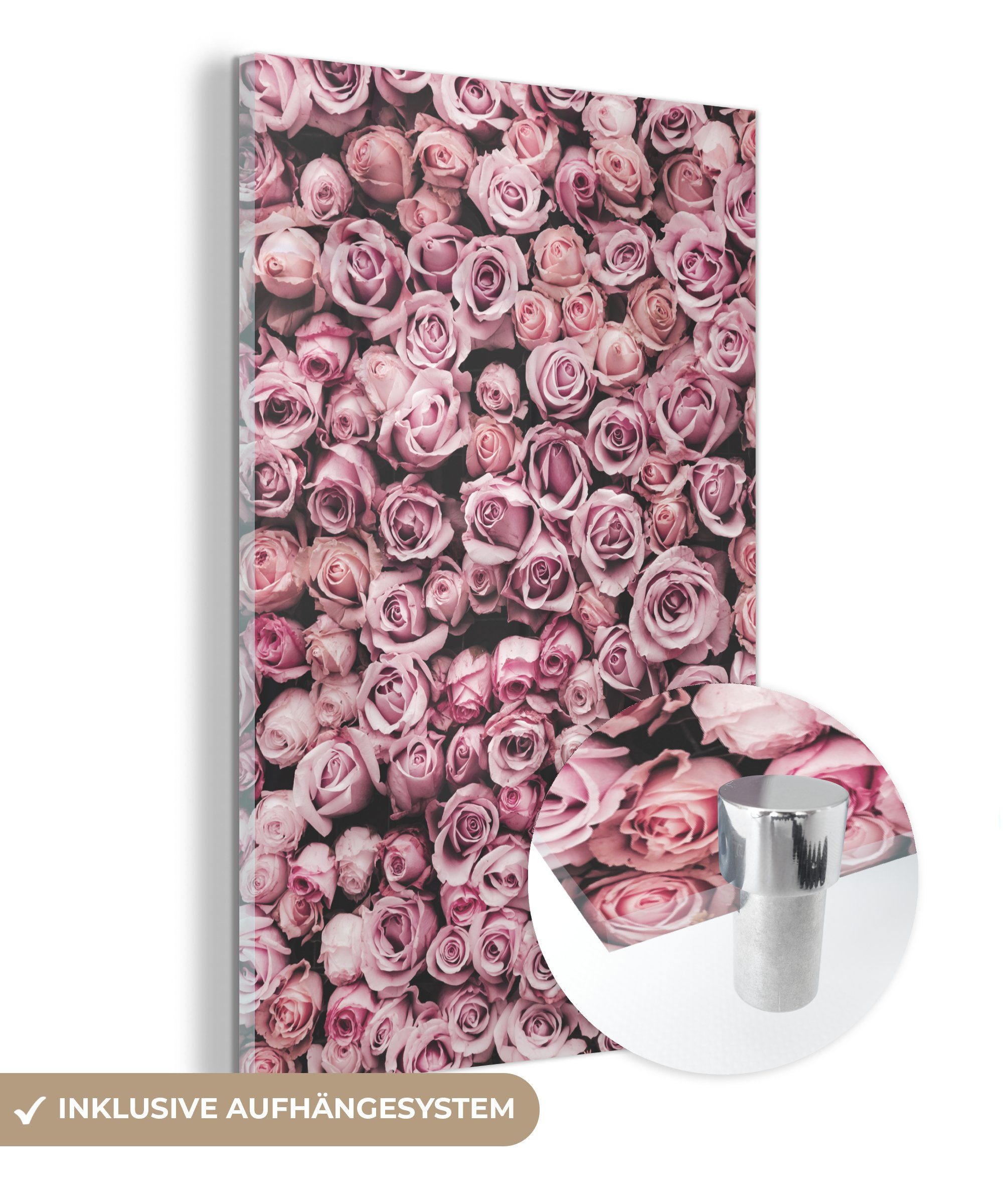 MuchoWow Acrylglasbild Blumen - Rosen - Natur - Rosa - Botanisch, Inkl. Aufhängung, Dekorative Bild für Küche & Wohnzimmer auf Glas, 20x30 cm