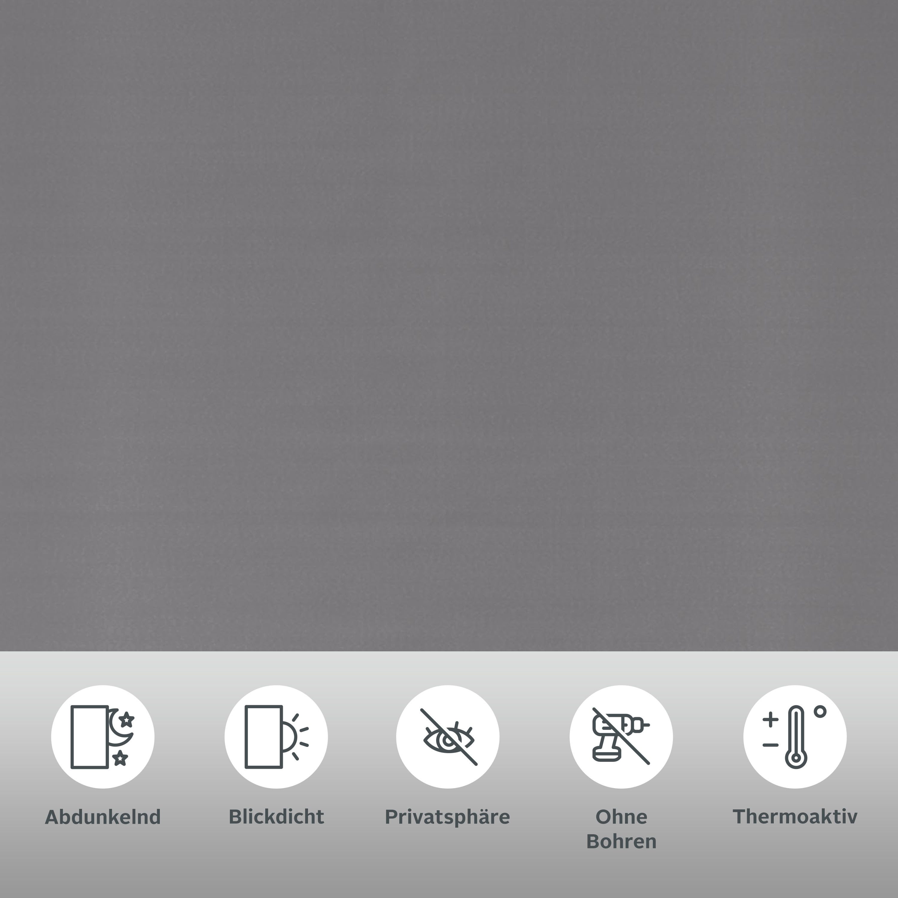 Seitenzugrollo THEMSE, OTTO home, abdunkelnd, ohne Bohren, freihängend, Klemmfix, Bestseller mit über 3000 4,5-Sterne-Bewertungen, Klemmträger