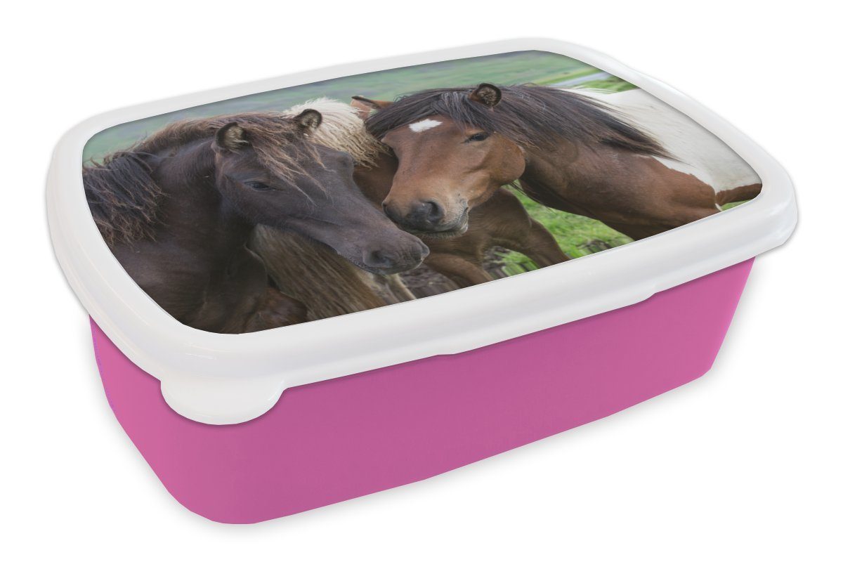 MuchoWow Lunchbox Pferde - Tiere - Braun, Kunststoff, (2-tlg), Brotbox für Erwachsene, Brotdose Kinder, Snackbox, Mädchen, Kunststoff rosa
