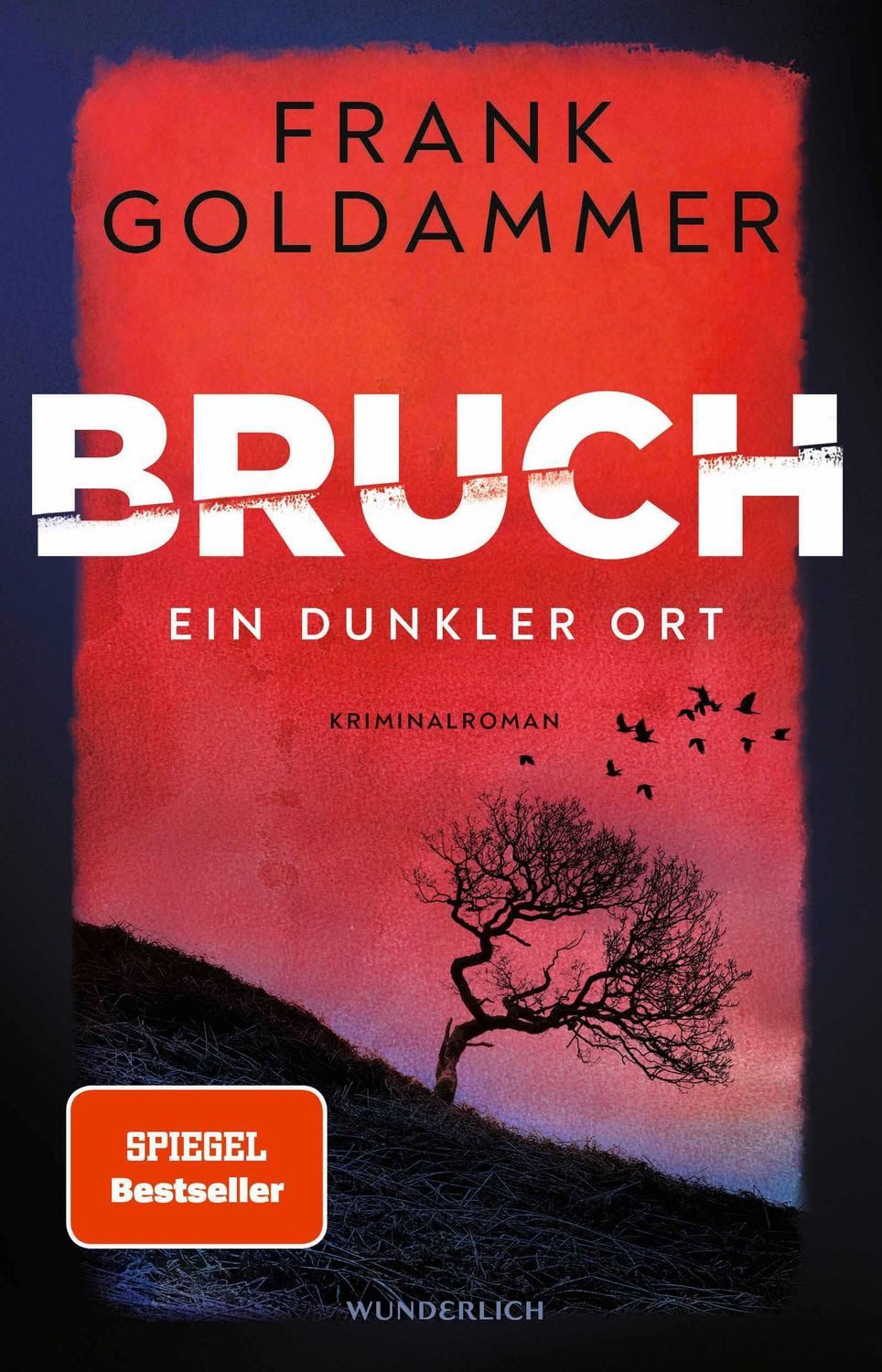 Bruch: Ein dunkler Ort / Frank Goldammer