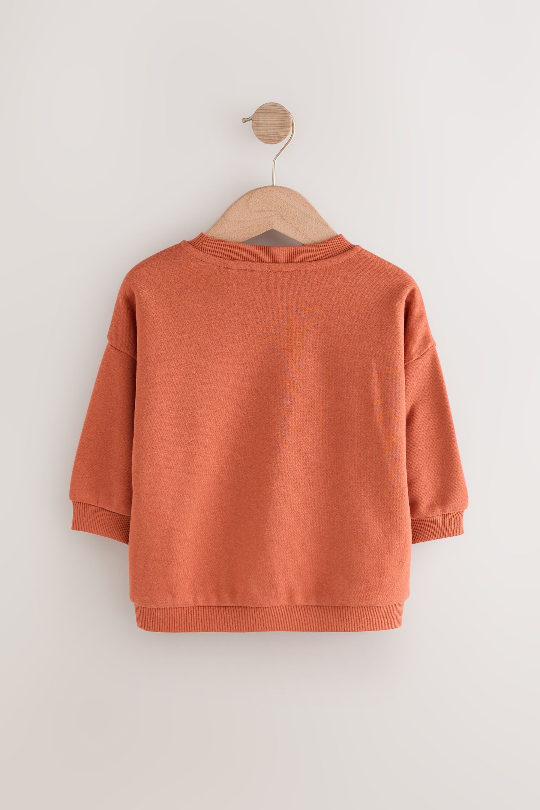 Next Sweater Sweatshirt mit Print aus günstig online kaufen