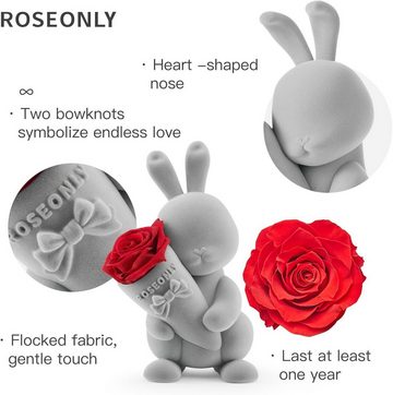 Kunstpflanze Roseonly Rosenbär Teddybär Rot, Valentinstag Teddy Bär für Frauen Ewige Rose Teddy, Ewige Rose mit Herz für Sie, Frauen, Frau, JUNG, Geschenk für Frauen, Konservierte Blume, Rosenbox Geburtstagsgeschenk