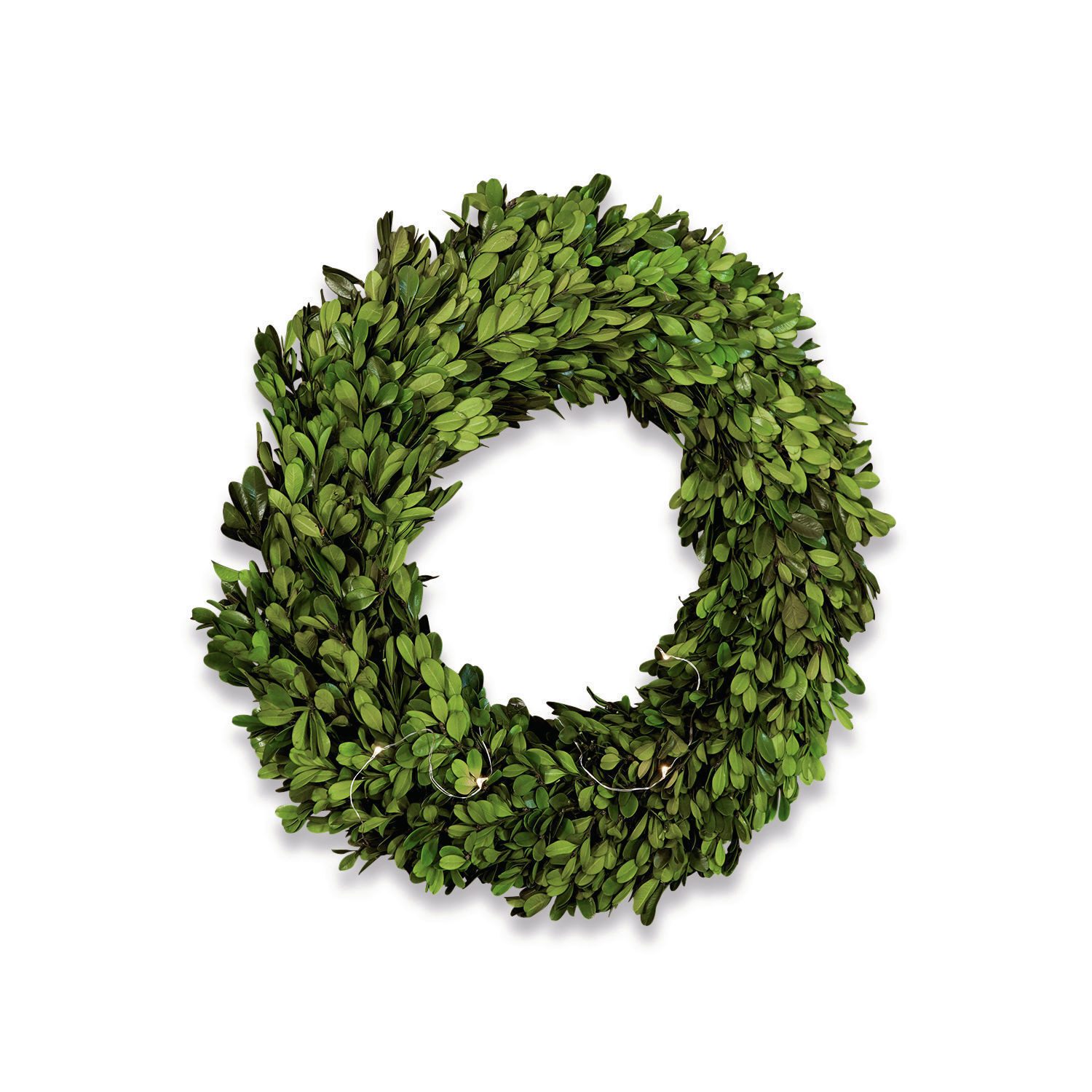 Mirabeau Dekokranz Kranz Myrcella grün