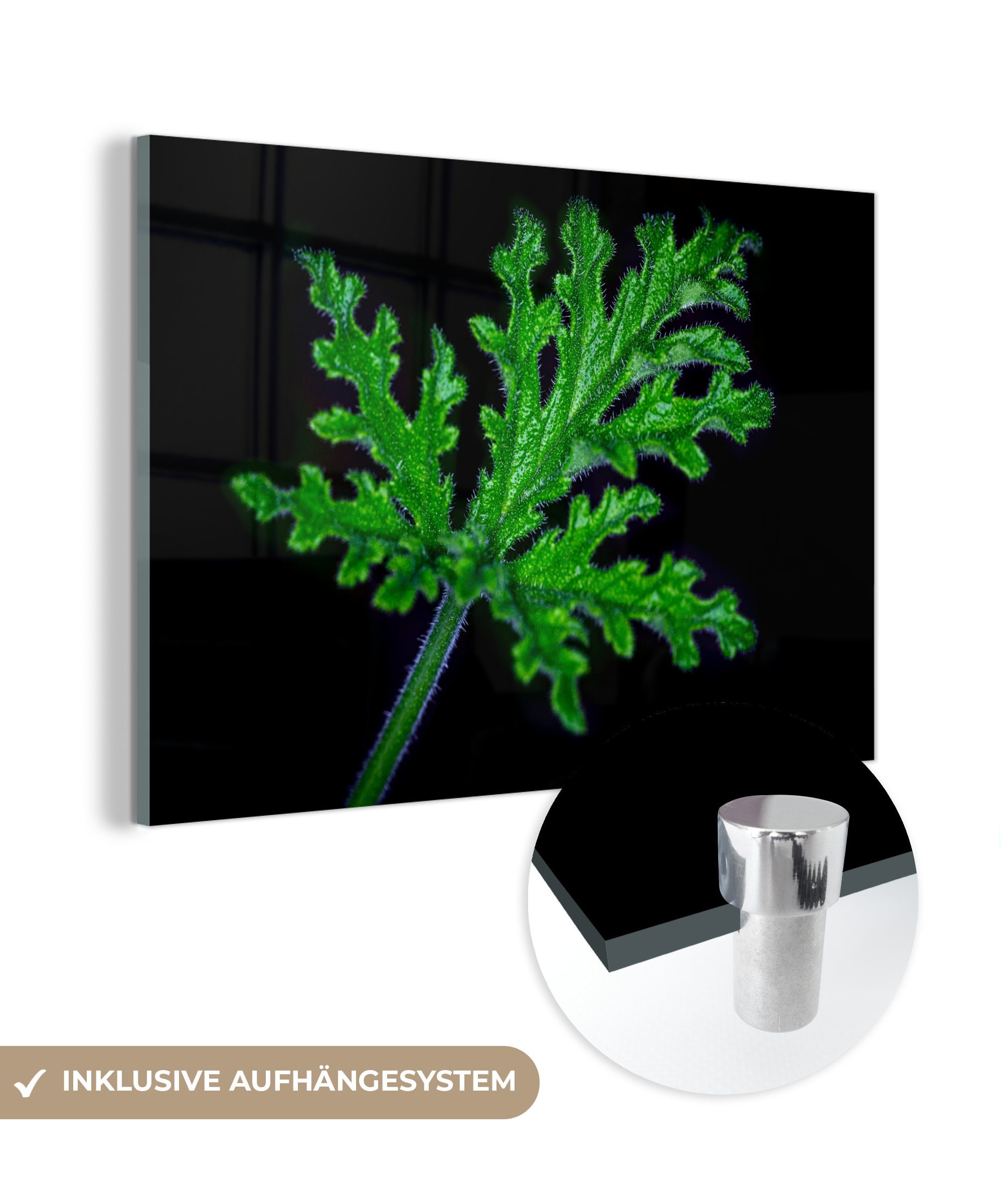 Hintergrund, St), schwarzem Einzelne (1 Schlafzimmer grüne Acrylglasbild MuchoWow Blätter & auf Acrylglasbilder Wohnzimmer