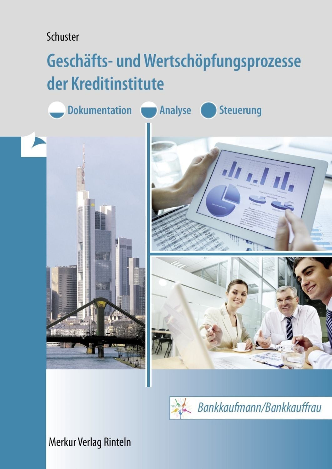 Geschäfts- und Wertschöpfungsprozesse der Kreditinstitute / Dietmar Schuster