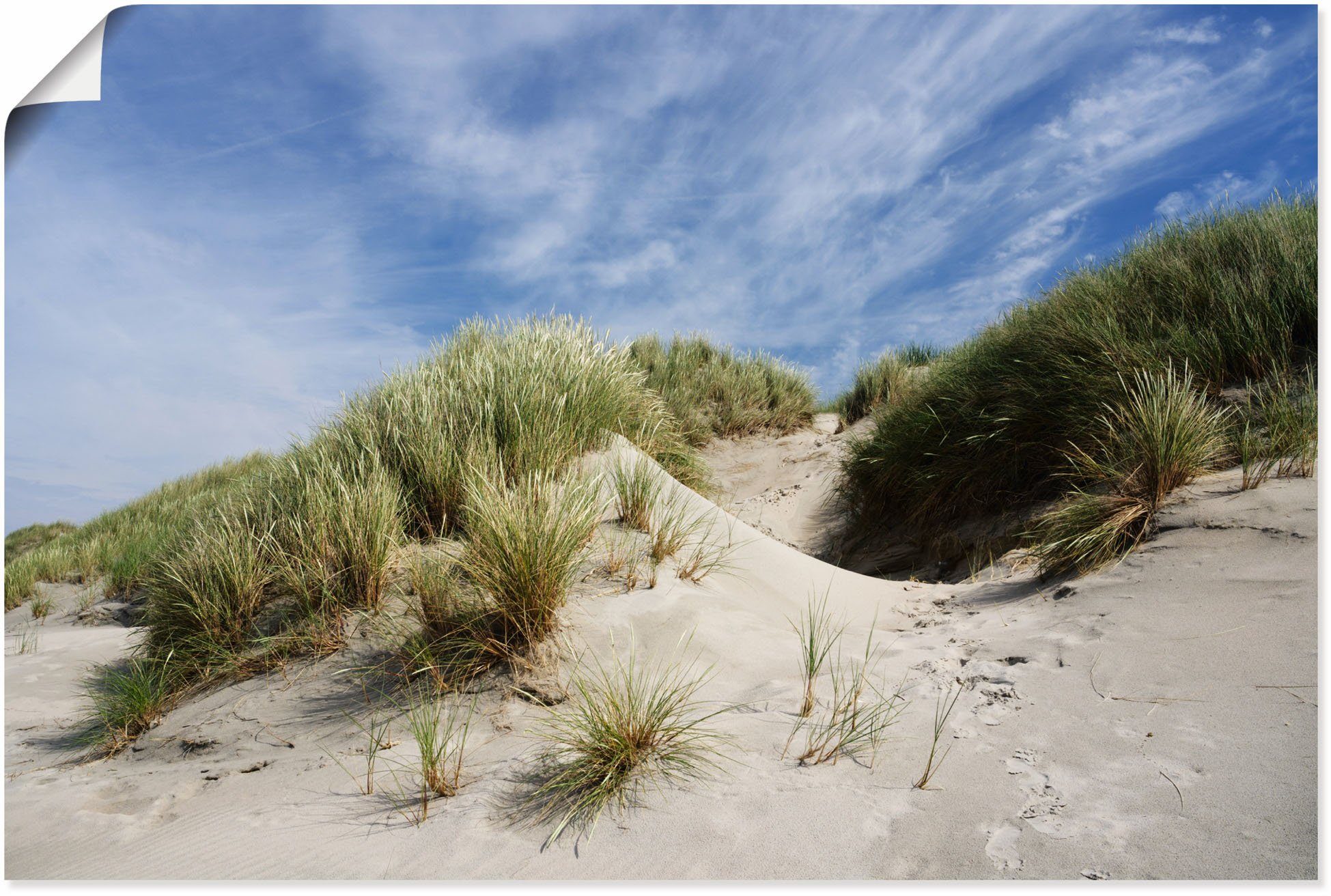 Wandbild Dünen Wandaufkleber als Poster Artland Baltrum, (1 St), Leinwandbild, oder auf versch. Größen Alubild, Strandbilder in