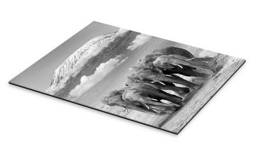 Posterlounge XXL-Wandbild Editors Choice, Elefantenherde vorm Kilimandscharo, Fotografie