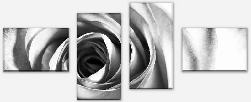 wandmotiv24 Mehrteilige Bilder weiße Rose Blüte, Blumen und Pflanzen (Set, 4 St), Wandbild, Wanddeko, Leinwandbilder in versch. Größen