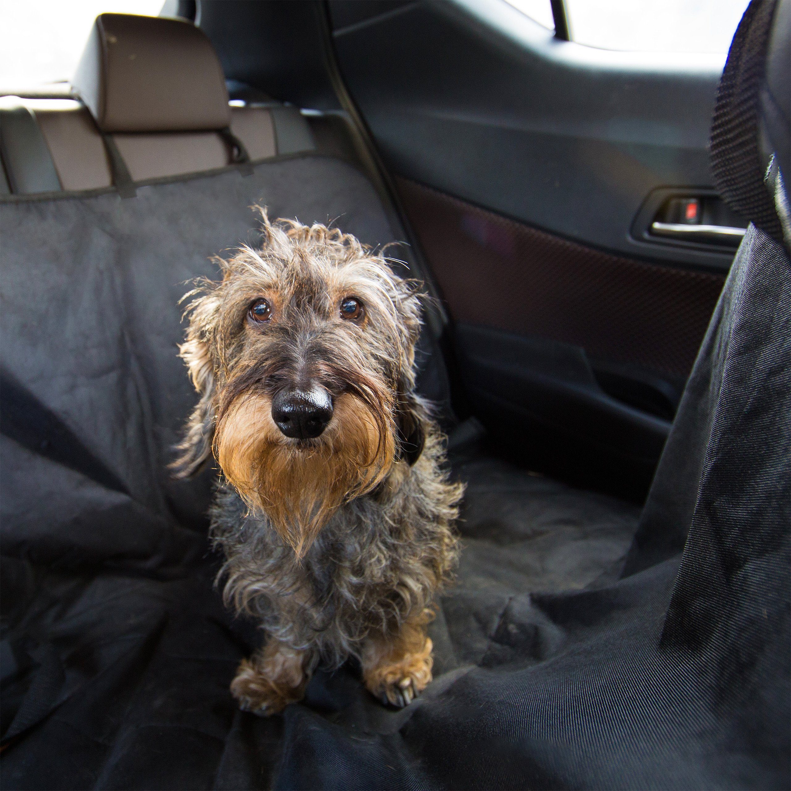 relaxdays Hundematte Hundedecke Auto günstig online kaufen