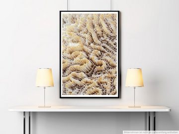 Sinus Art Poster 60x90cm Poster Naturfotografie  Weiße Korallen