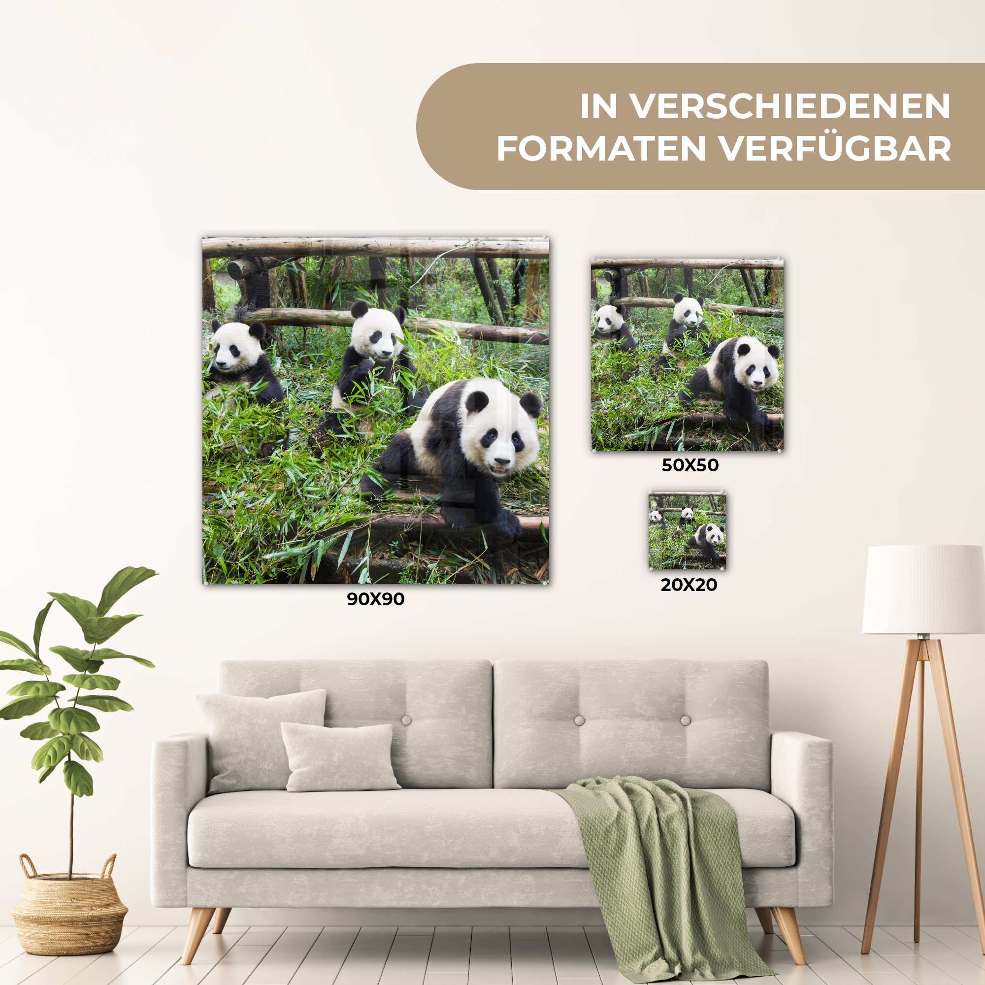 Glasbilder Glas (1 MuchoWow Acrylglasbild - Wandbild Glas Bambus - Foto Pandas St), - Bilder - - auf Wanddekoration auf Blätter,