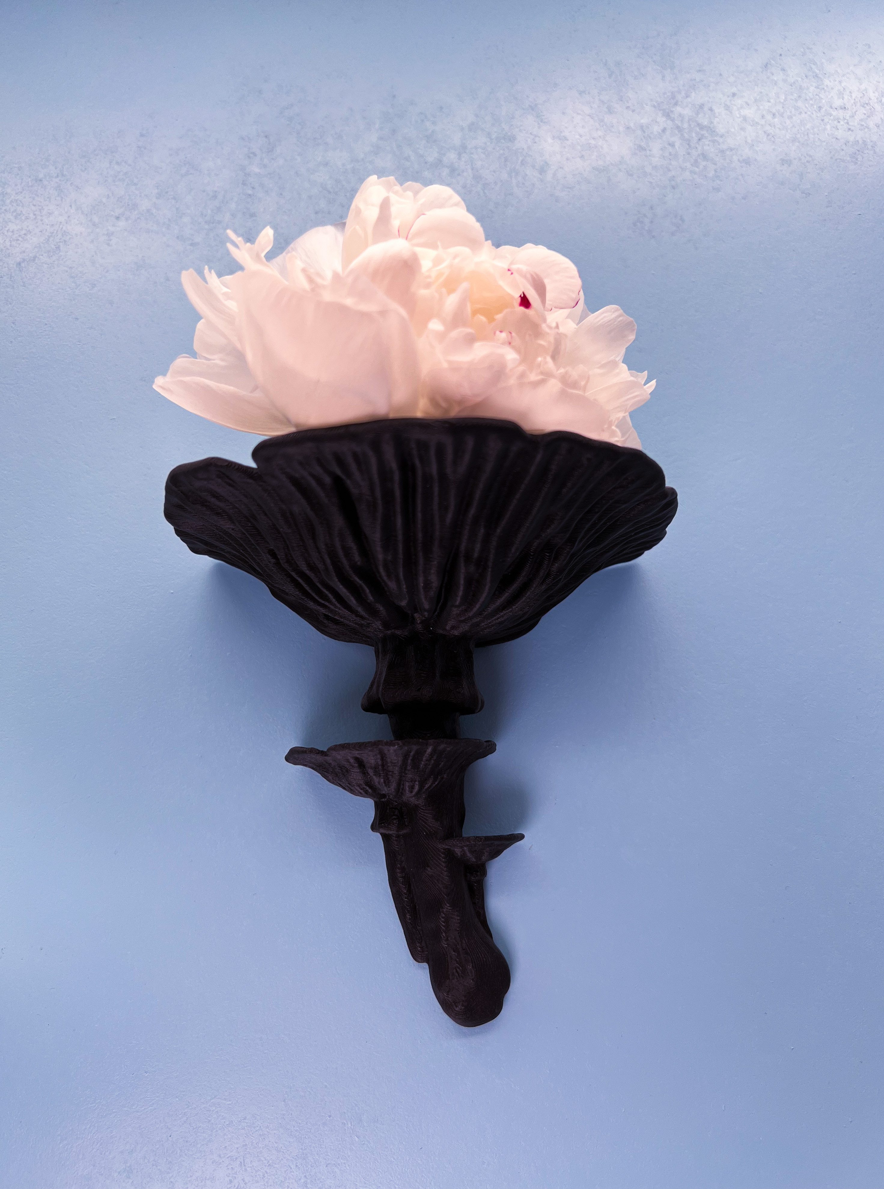 Roomberry Deko-Wandregal Amanitapilz Wandregal, Hergestellt in Deutschland günstig online kaufen