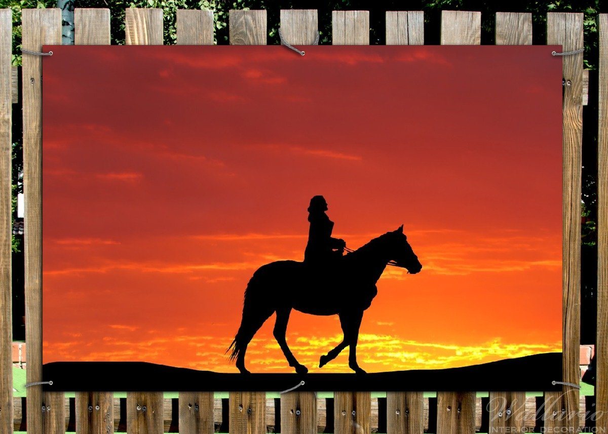 Thumbnail - Wallario Sichtschutzzaunmatten Reitersilhouette vor einem Sonnenuntergang