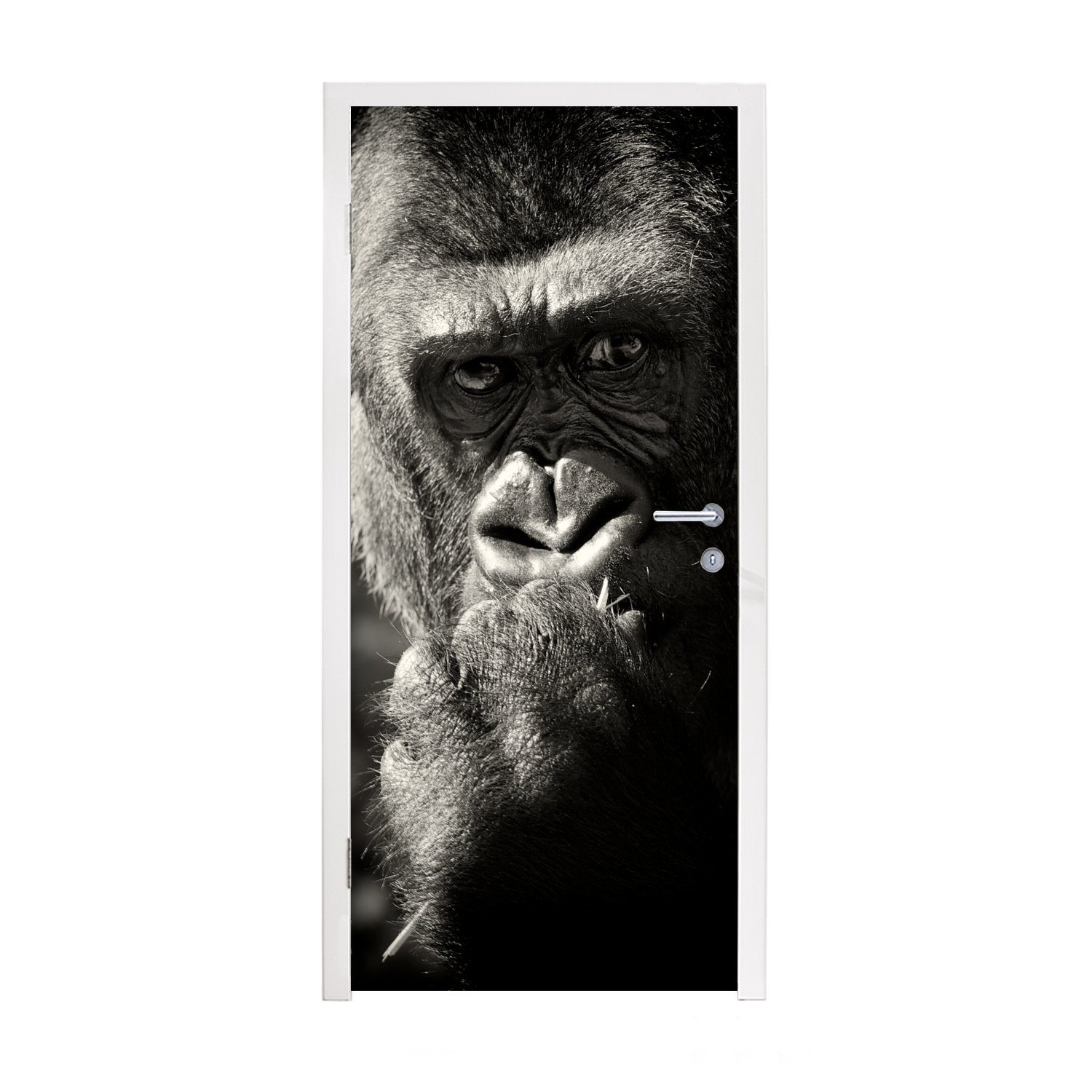 MuchoWow Türtapete schwarzem bedruckt, St), und Türaufkleber, (1 Tür, auf Fototapete in Matt, Weiß, 75x205 cm für Gorilla Schwarz Hintergrund
