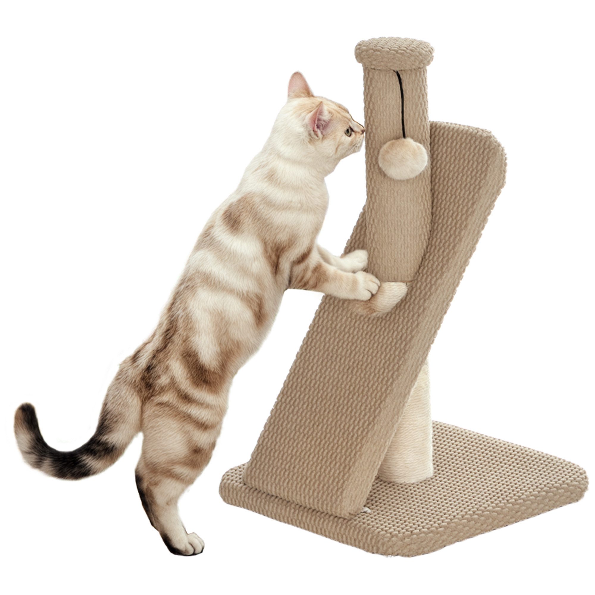 PawHut Kratzbaum Kratzsäule Kratzstamm mit Spielball für kleine Katzen, Indoor, Cremeweiß