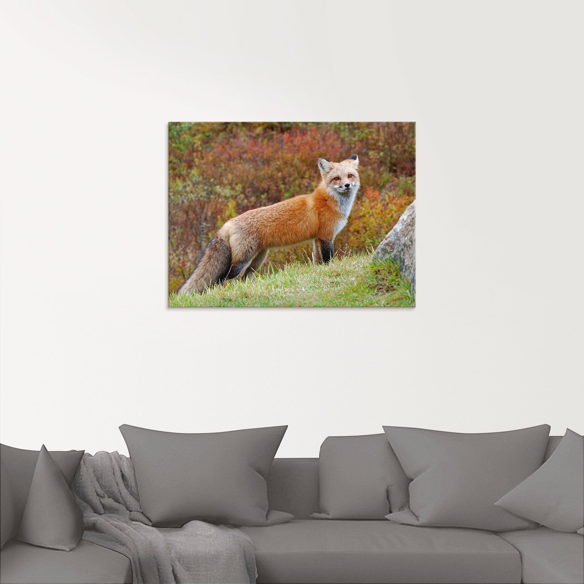 in St), Größen (1 I, Glasbild Fuchs Wildtiere Artland verschiedenen