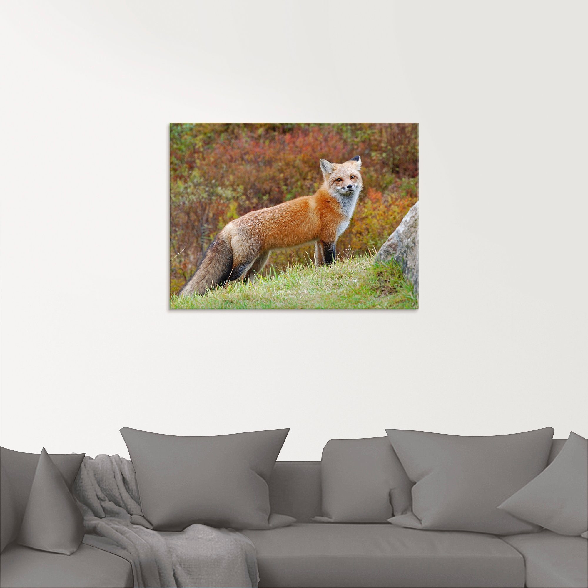 Artland Glasbild »Fuchs I«, Wildtiere (1 Stück)-HomeTrends