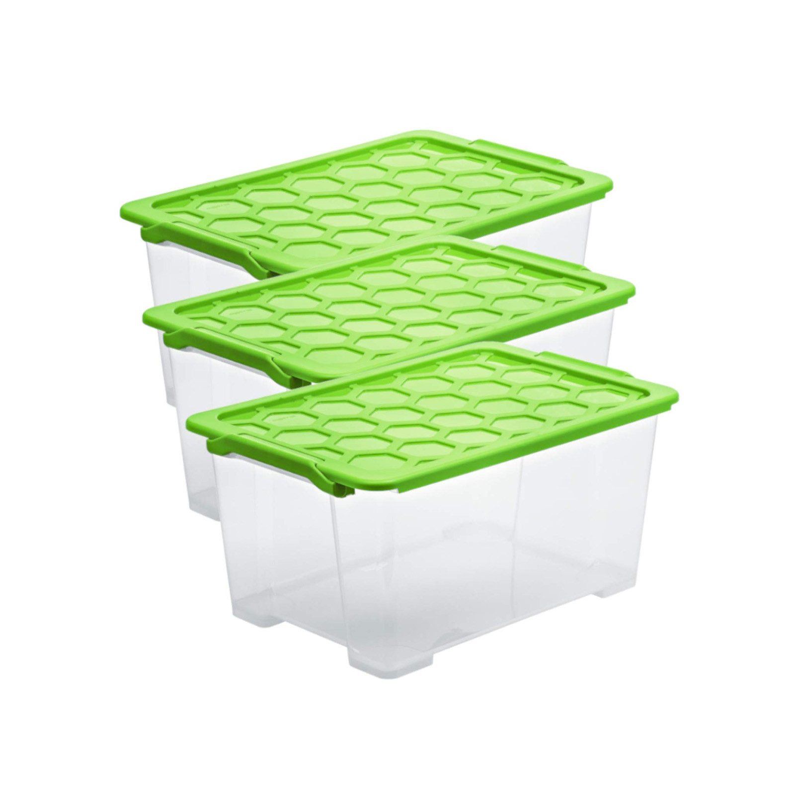 ROTHO Aufbewahrungsbox Evo Safe Keeping 3er-Set günstig online kaufen