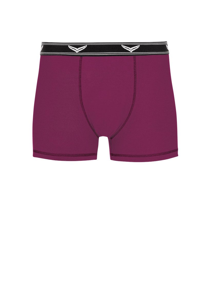 Trigema Boxer TRIGEMA Bequeme Pants mit Webgummibund (1-St) günstig online kaufen