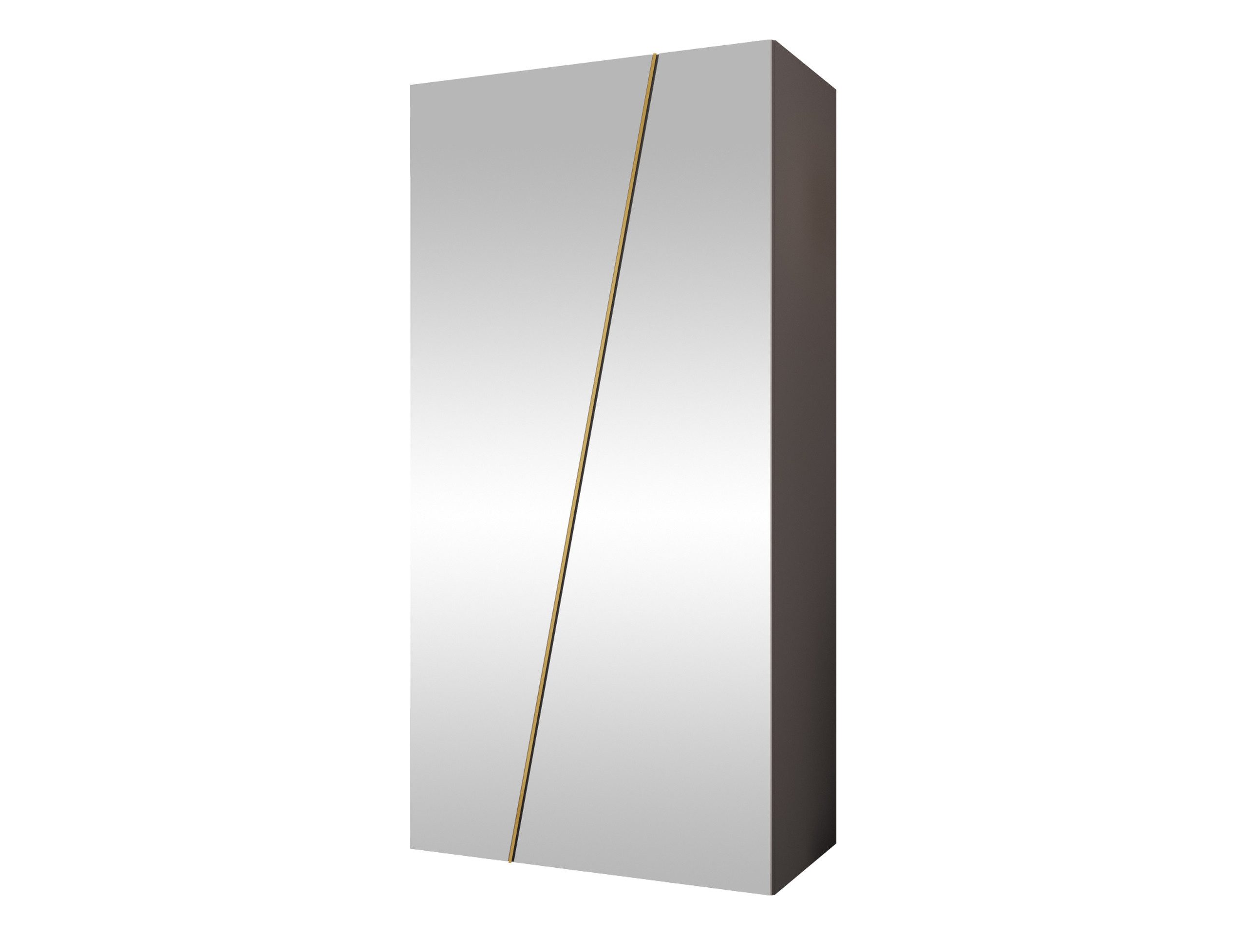 MIRJAN24 Kleiderschrank Zen 2L 100 cm (mit zwei Drehtüren) Kleiderstange, Frontspiegel, 100x50x202 cm