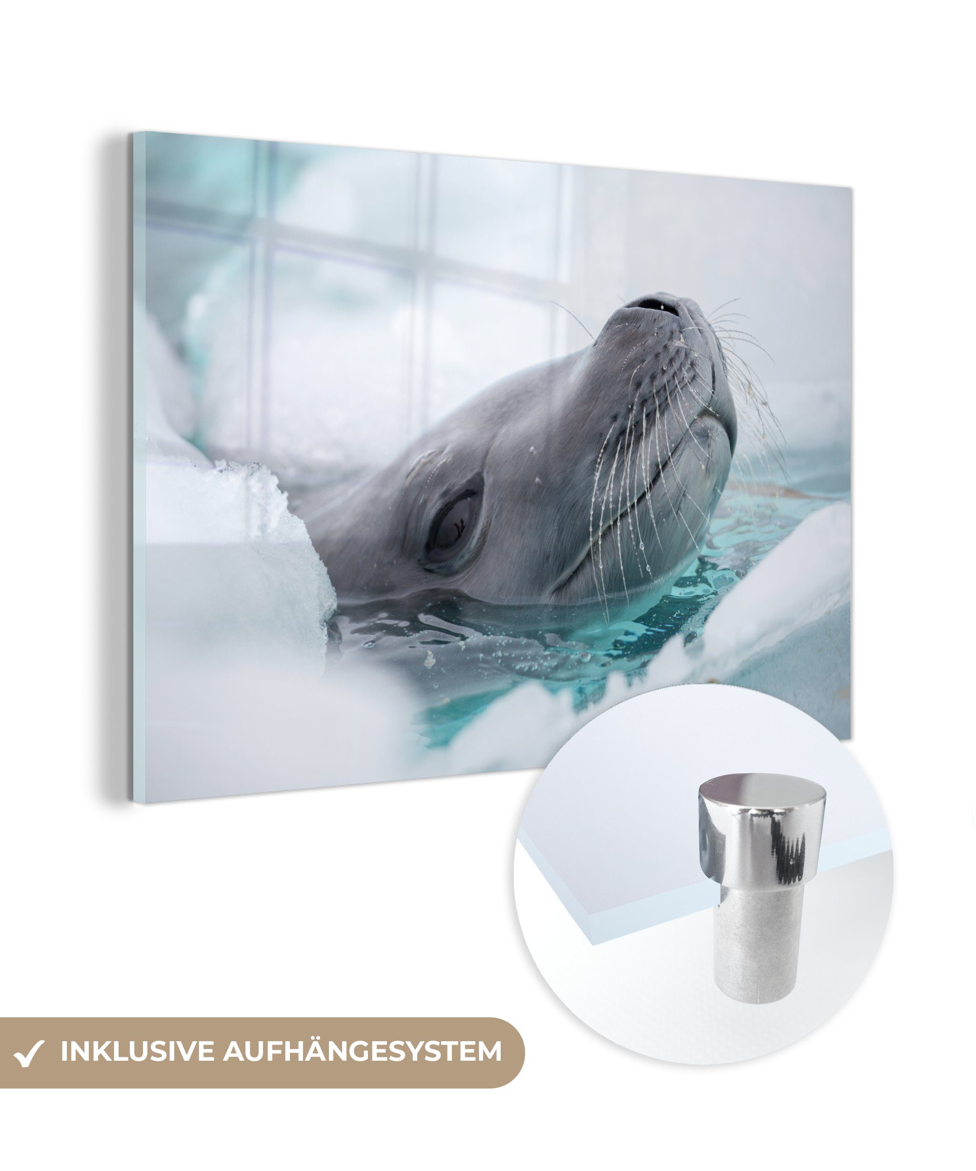 MuchoWow Acrylglasbild Tier - Wasser - Eis, (1 St), Acrylglasbilder Wohnzimmer & Schlafzimmer