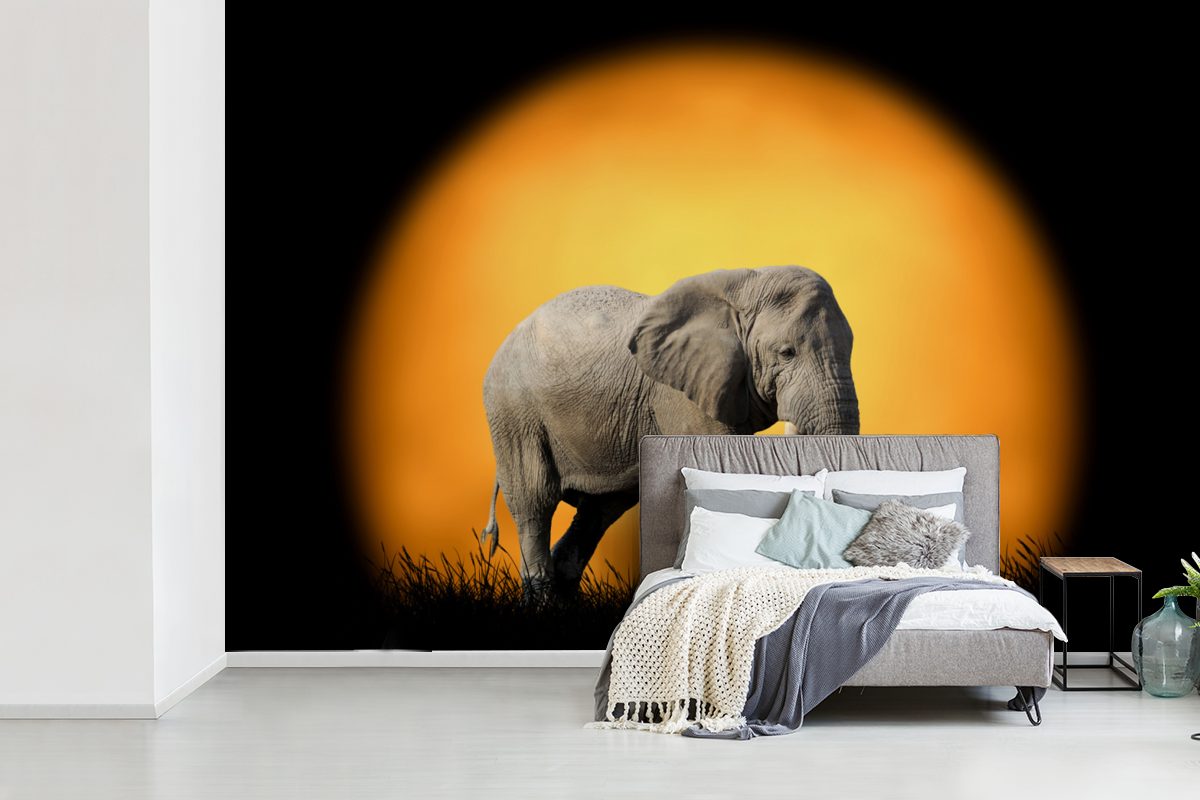 Sonne Kinderzimmer, St), für Wohnzimmer, Vinyl Schlafzimmer, Gras, - Matt, Wallpaper - Tapete (6 MuchoWow Elefant Fototapete bedruckt,