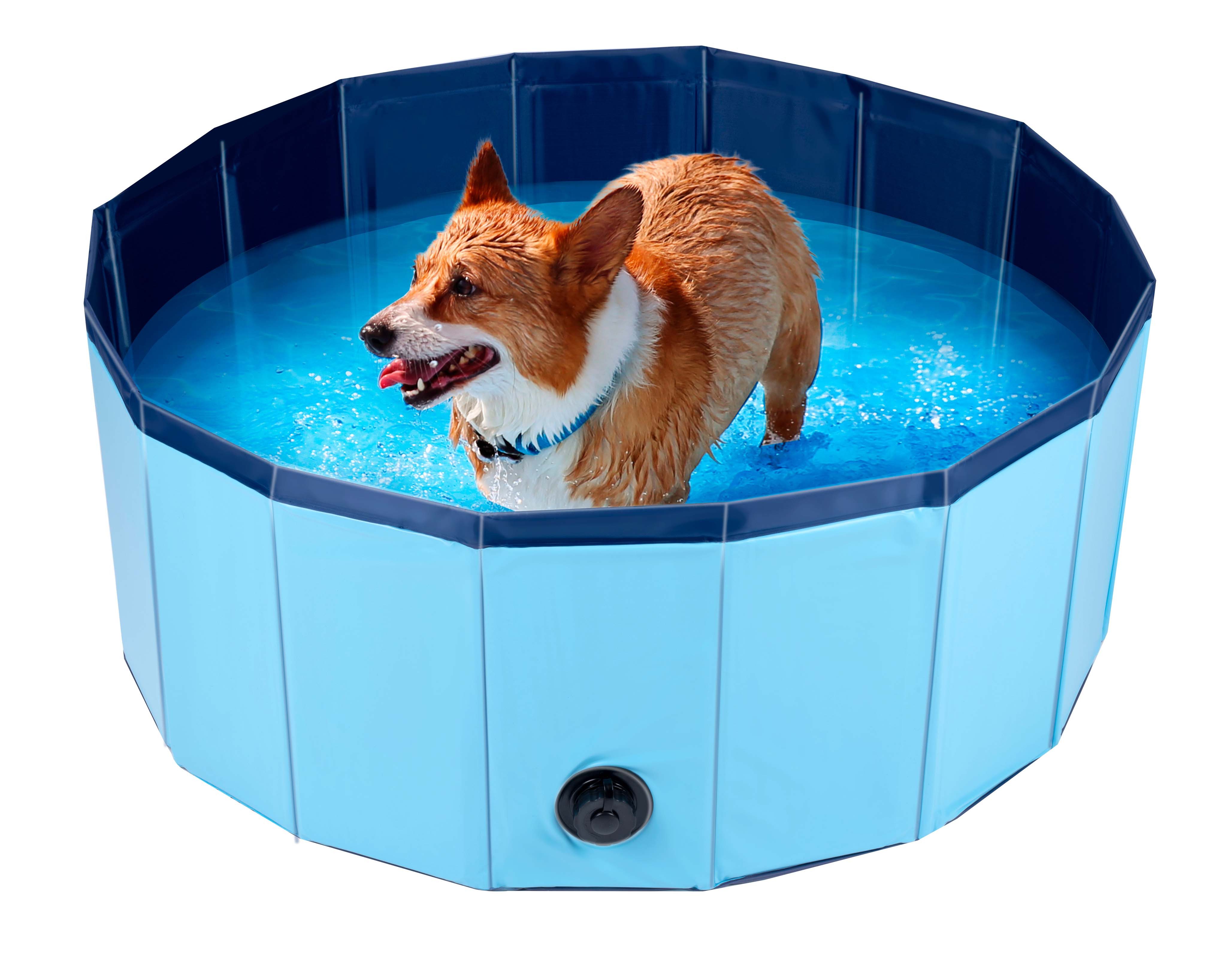 maxxpro Outdoor-Spielzeug maxxpro Hundepool faltbar, ⌀ 80 cm, Kunststoff