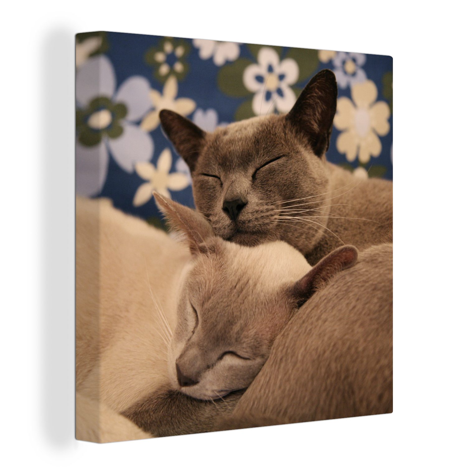 OneMillionCanvasses® Leinwandbild Zwei verschmuste burmesische Katzen, (1 St), Leinwand Bilder für Wohnzimmer Schlafzimmer