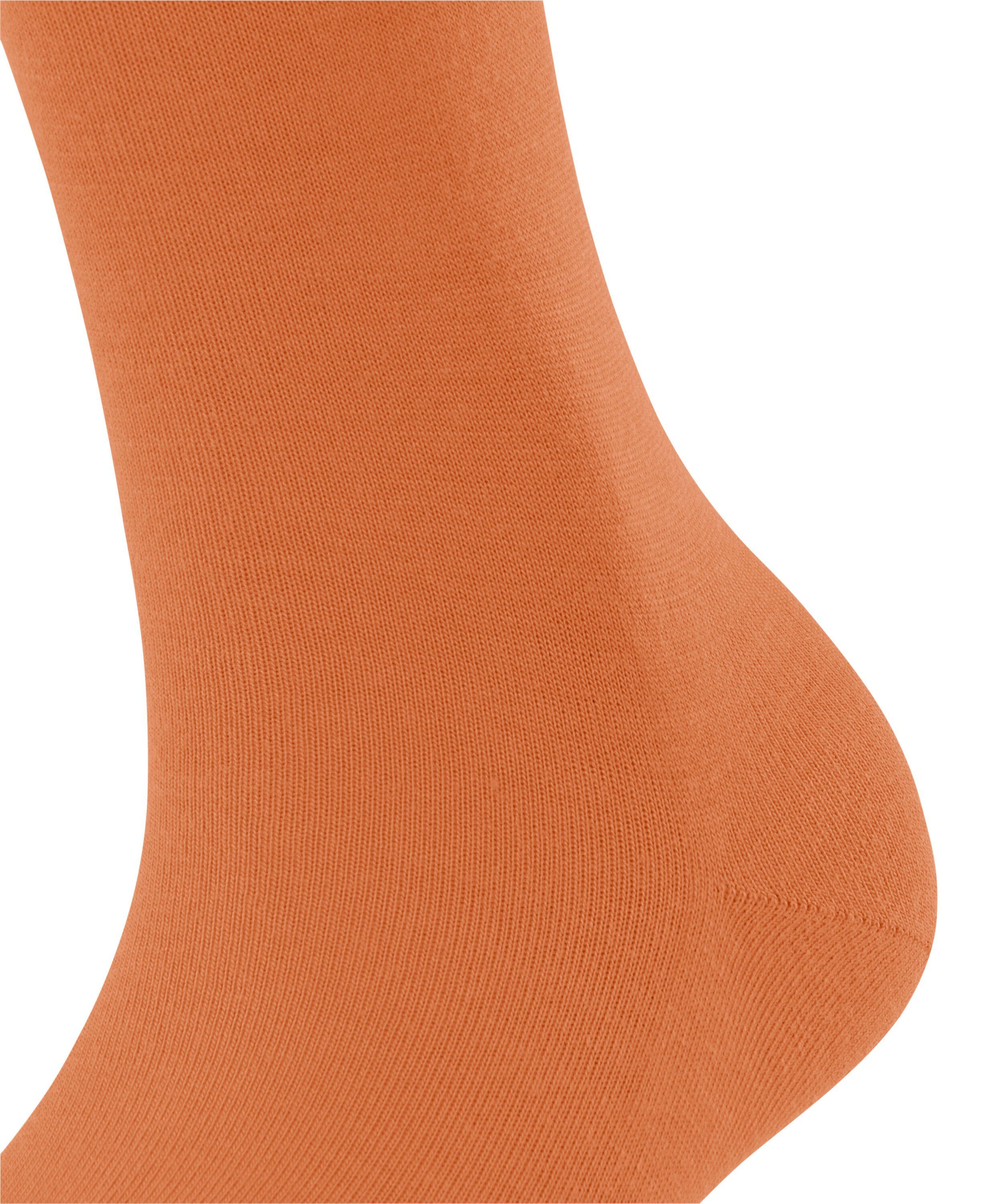 wärmender FALKE Softmerino tandoori Kniestrümpfe mit (1-Paar) Merinowolle (8576)