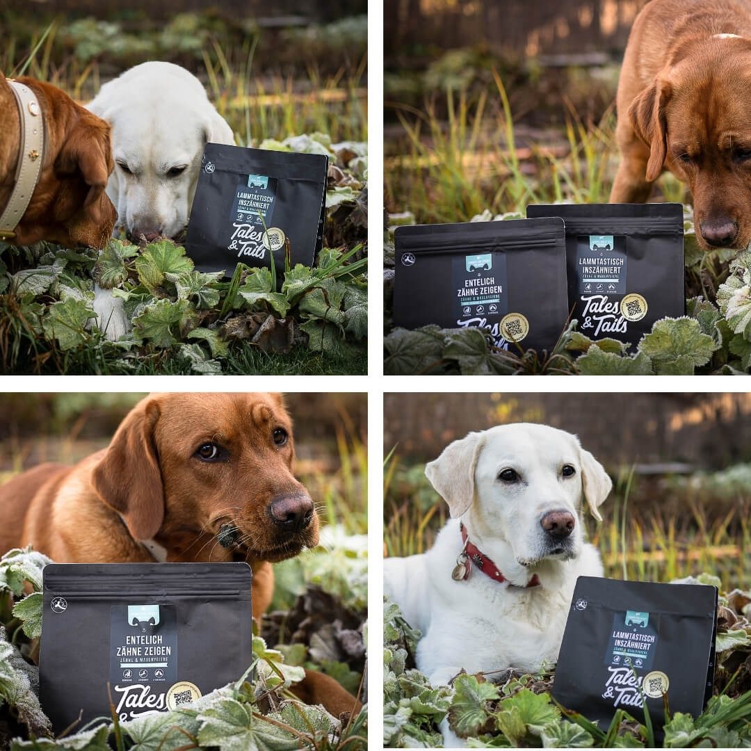 Tales & Tails Zahnpflege-Kausticks Ente, Snack für: Hunde