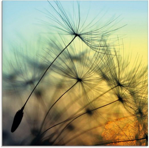 Artland Glasbild »Goldener Sonnenuntergang und Pusteblumen«, Blumen (1 Stück)