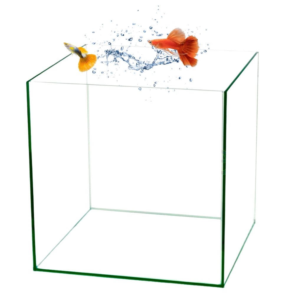 Aquarium Würfel Aquarium 30x30x30 35x35x35 40x40x40 Becken Glasbecken 30 35 40