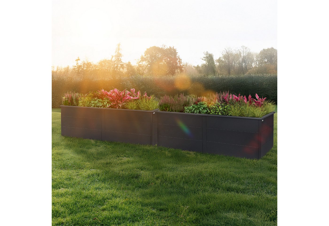 Thumbnail - Zelsius Hochbeet für Garten, Anthrazit RAL 7016, Terrasse oder Balkon (1x Hochbeet, 1x Hochbeet)